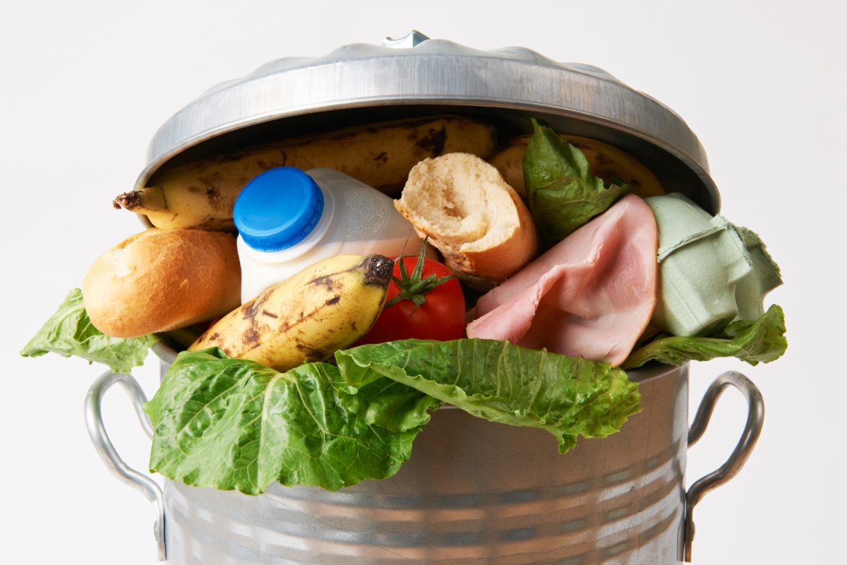 Fresh Food In Garbage Can Going to Waste
