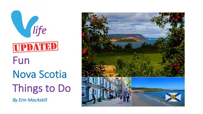 vLife Blog Things to Do in NS Updated 2022 image