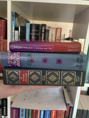 Three books I found at Capricorn Books!
