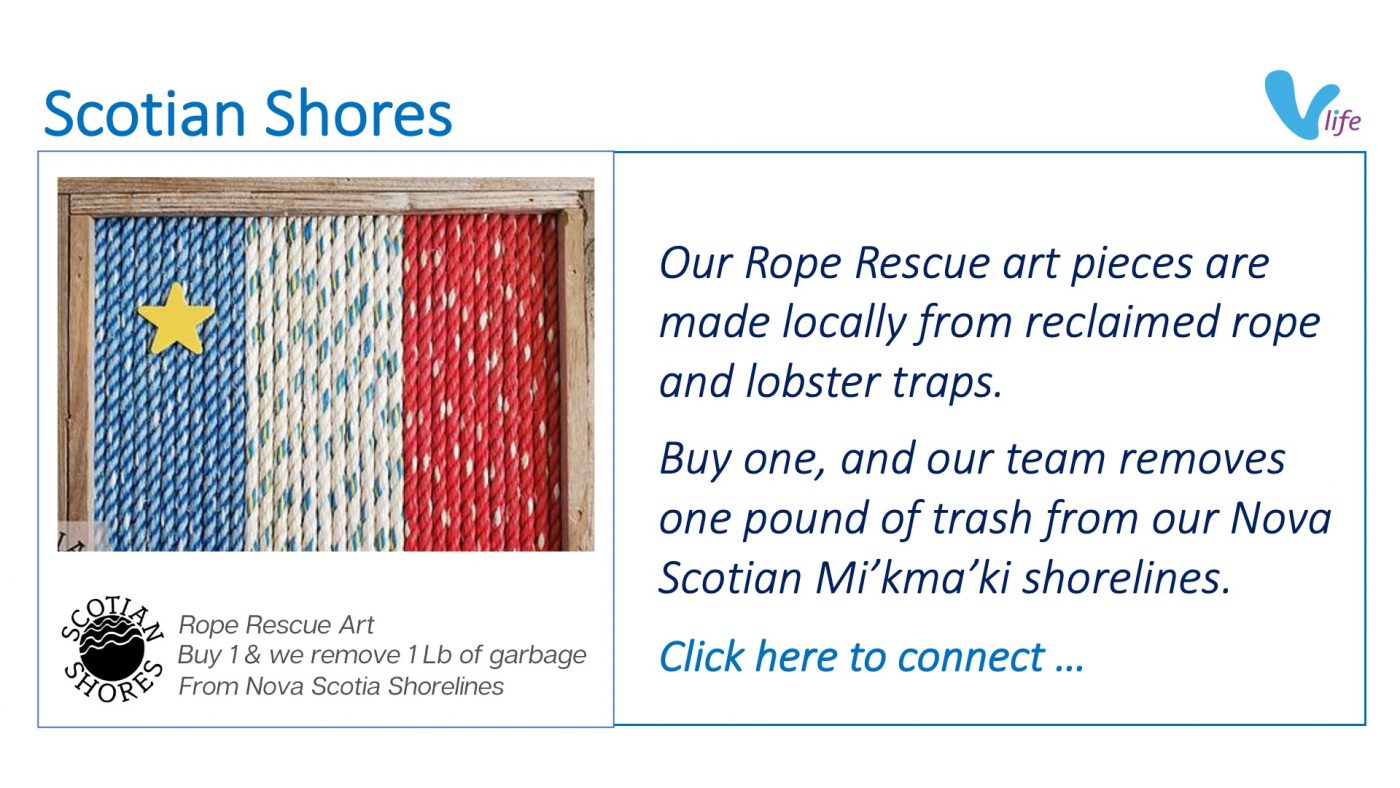 vStore graphic Scotian Shores Rope Rescues May 2023