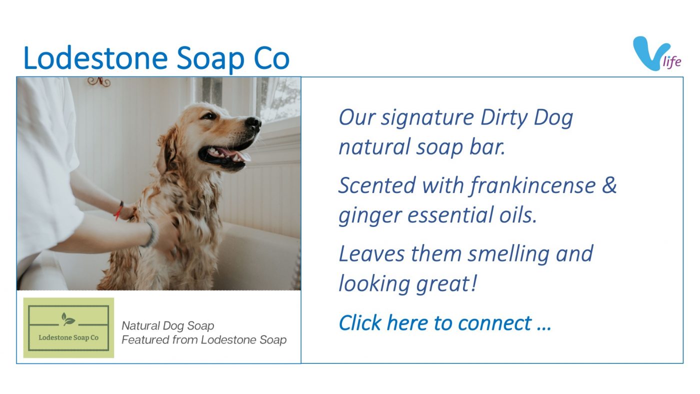vStore graphic Lodestone Soap Co Natural Dog Soap Jul 2023