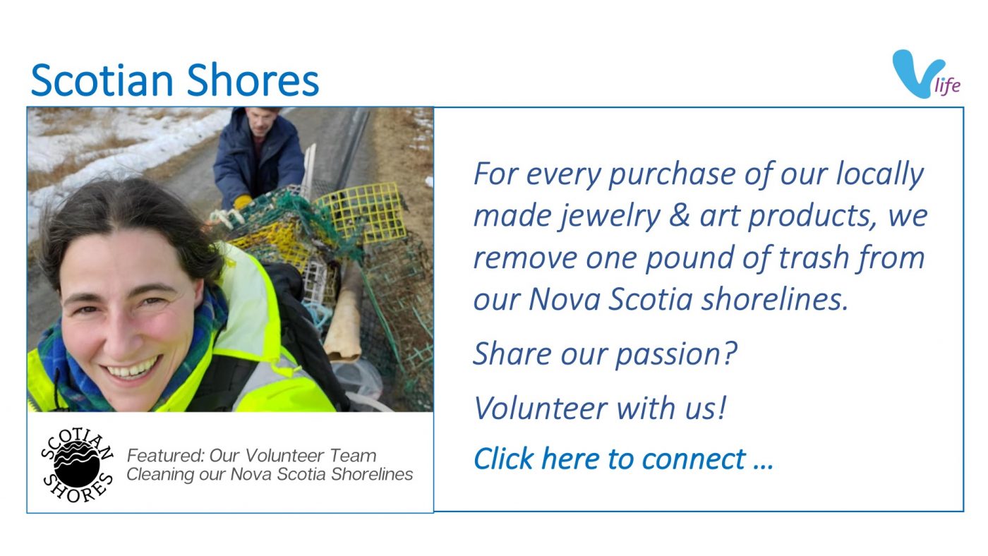 vStore graphic Scotian Shores volunteer for beach cleanup Jul 2023