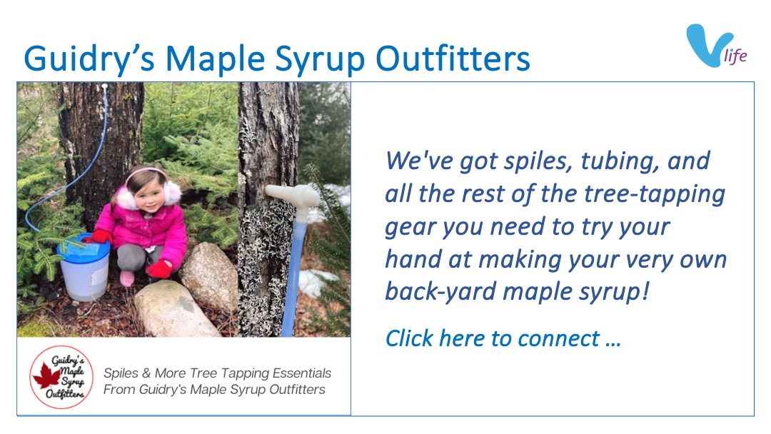 SL graphic Guidry's Maple Syrup Tree Tapping Spiles 2023
